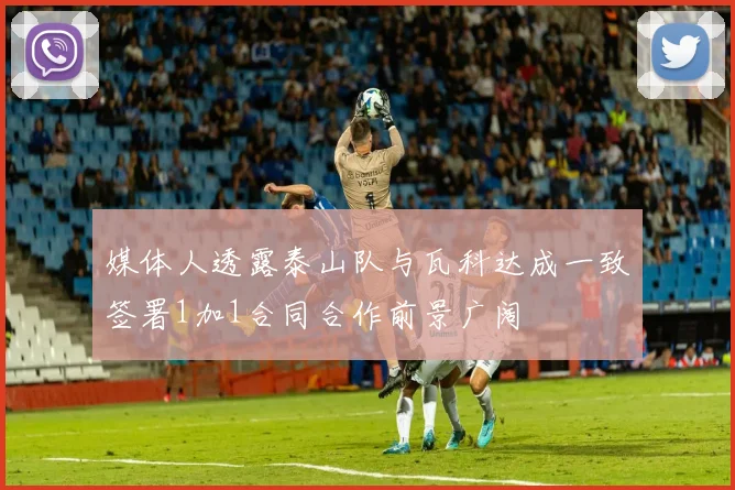 媒体人透露泰山队与瓦科达成一致签署1加1合同合作前景广阔