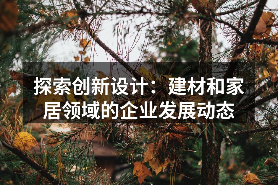 探索创新设计：建材和家居领域的企业发展动态